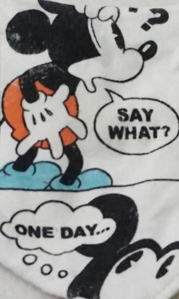 Dreieckstuch von Disney by H&M (2194)